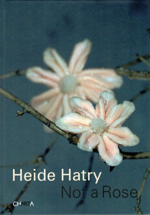 Item #127186 NOT A ROSE. Twenty-Seven Stories and Twenty-Seven Portraits. Heide HATRY