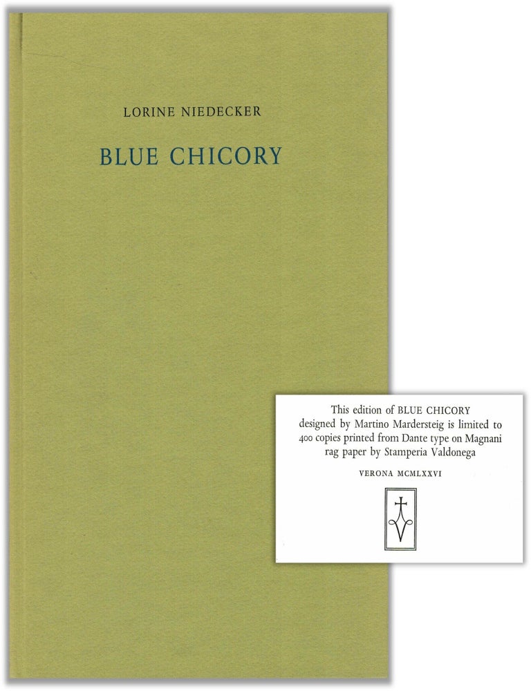 Item #133213 BLUE CHICORY. Lorine NIEDECKER.